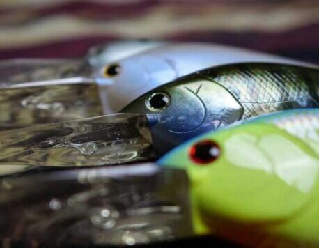 Top 10 Fishing Lures Every Angler Should Have