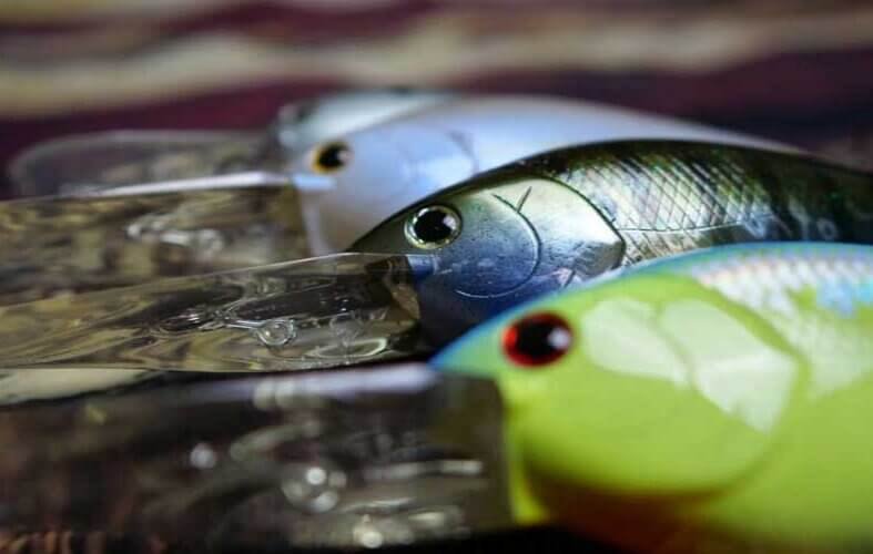 Top 10 Fishing Lures Every Angler Should Have