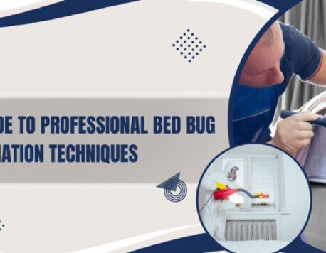 Your Guide to Professional Bed Bug Extermination Techniques