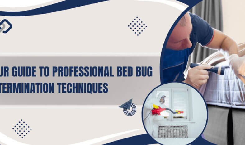 Your Guide to Professional Bed Bug Extermination Techniques