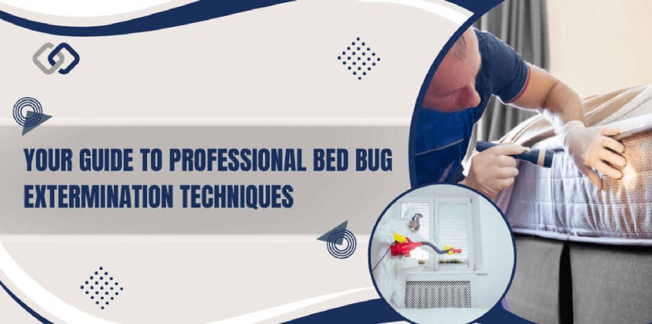 Your Guide To Professional Bed Bug Extermination Techniques | 100% Norway