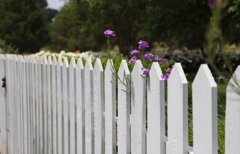 DIY vs. Professional Fence Builder: Which is Right for You?