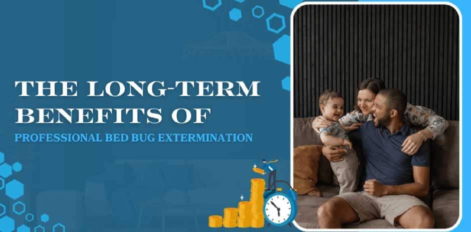 Bed Bug Extermination Systems Reference: The Long Term Benefits Of Professional Bed Bug Extermination