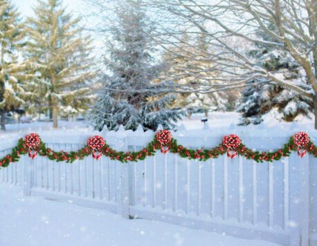 The Pros and Cons of Popular Fence Designs