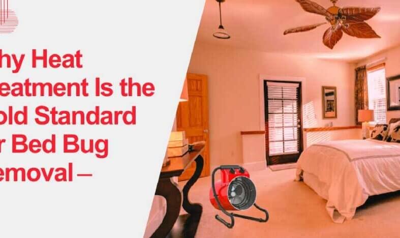 Why Heat Treatment Is the Gold Standard for Bed Bug Removal