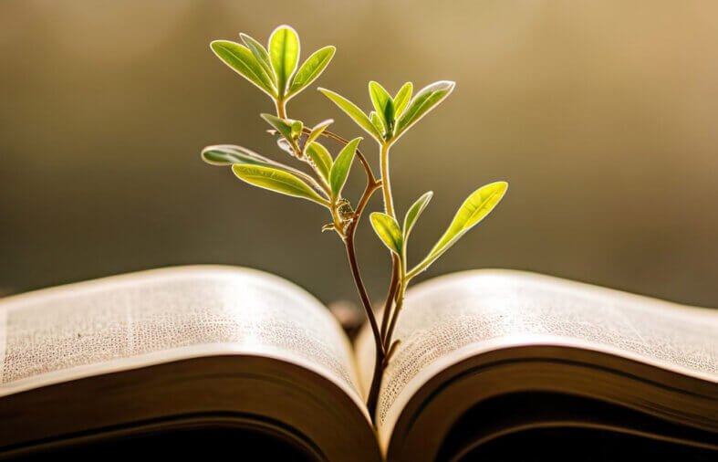 How to Cultivate Spiritual Maturity in Your Daily Life