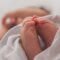 Top 4 Tips for a Successful Domestic Infant Adoption Journey