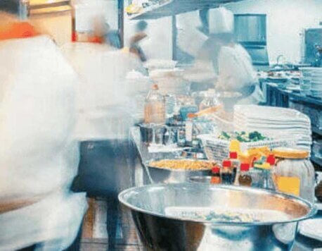 4 Key Tips for Small Restaurant Owners to Prevent Pest Infestation