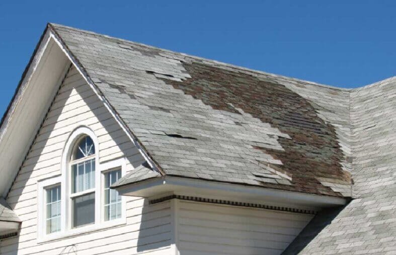 The Importance of Roof Maintenance for Rochester Homes