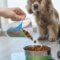 The Process of Freeze-Dried Pets Explained: From Start to Finish