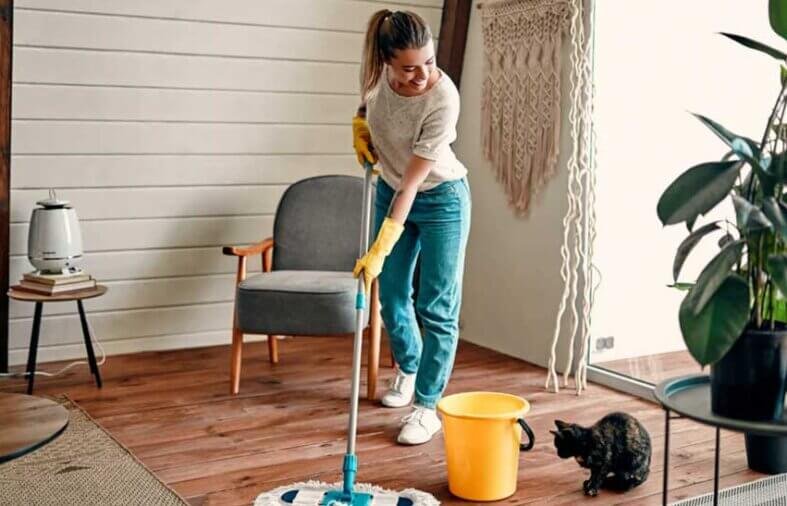 Top Benefits of Using a Furniture Cleaner for Your Home