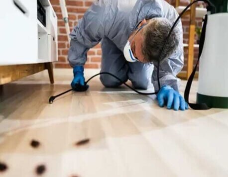 Understanding the Benefits of Regular Professional Pest Control