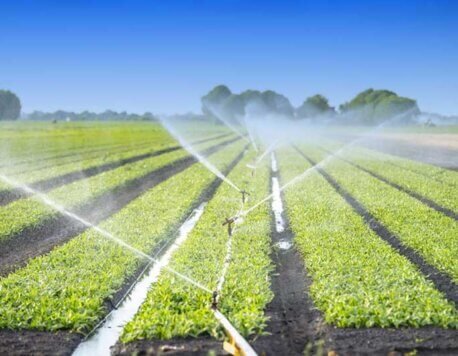 What Does Irrigation Software Do? A Simple Guide to a Complex Solution