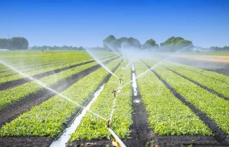 What Does Irrigation Software Do? A Simple Guide to a Complex Solution