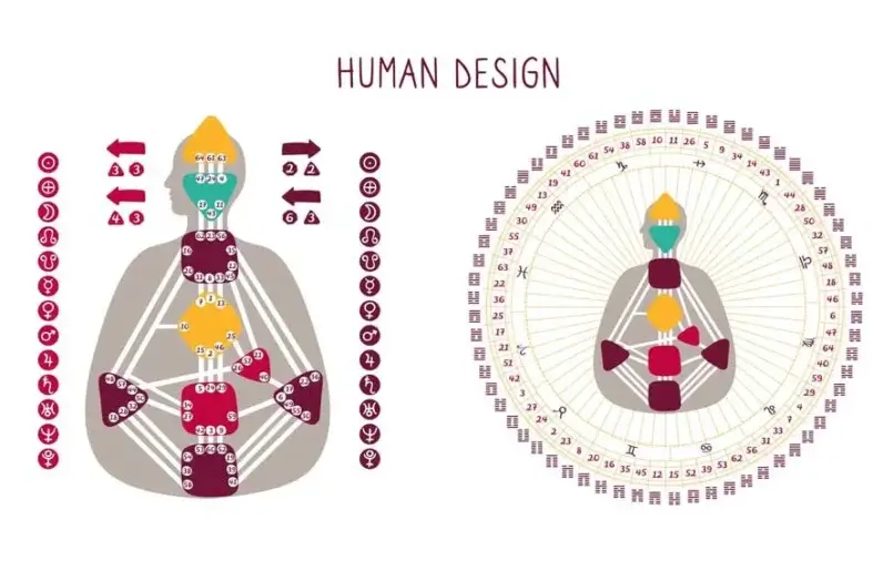 What Is Human Design Mapping and Why Does It Matter for Personal Growth?     