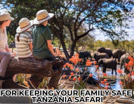 Tips for Keeping Your Family Safe on a Tanzania Safari