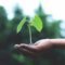 How True Sustainability Gives Businesses a Competitive Edge