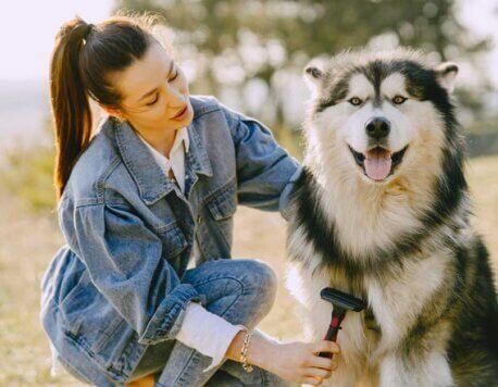 5 Simple Ways to Keep Your Dog Healthy and Happy