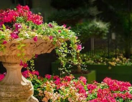 Abilene Landscaping Services: Enhance Your Outdoor Space