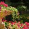 Abilene Landscaping Services: Enhance Your Outdoor Space