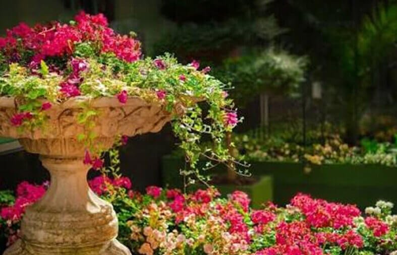Abilene Landscaping Services: Enhance Your Outdoor Space